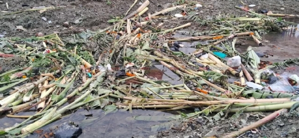 अररिया फोटो:नहर के किनारे बिखड़े केले के थंब