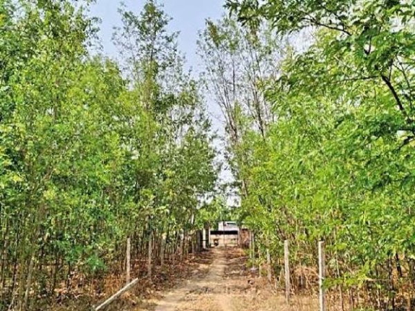 आ ऑक्सीजोन रायगढ़ आ ऑक्सीजोन रायगढ़