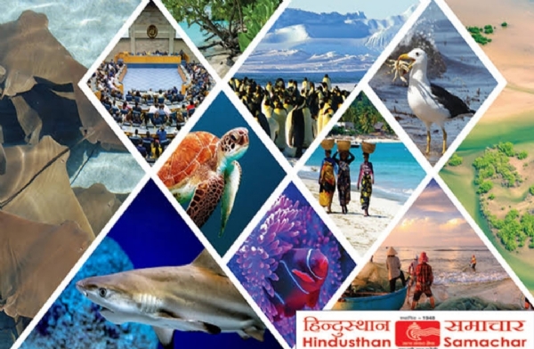 प्रतीकात्मक फोटो प्रतीकात्मक फोटो