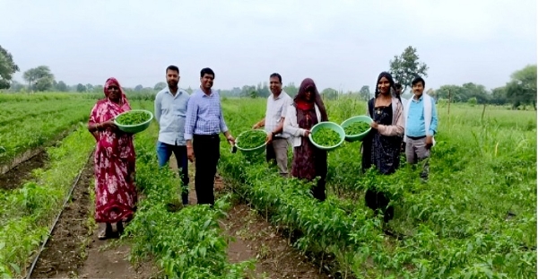 मध्‍य प्रदेश में कलस्टर आधारित सब्जी उत्पादन से आर्थिक सशक्त बन रहे किसान