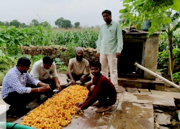 मध्‍य प्रदेश में कलस्टर आधारित सब्जी उत्पादन से आर्थिक सशक्त बन रहे किसान