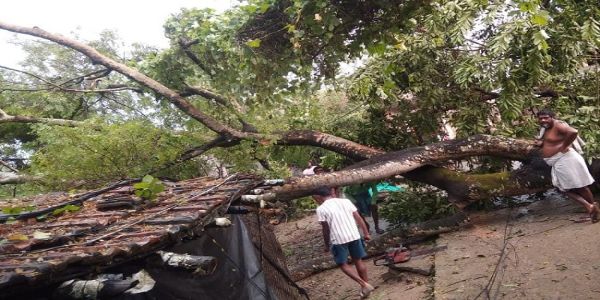 नदिया और हुगली में तूफान से भारी तबाही