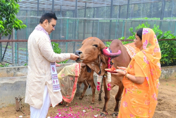 मुख्यमंत्री भजनलाल शर्मा ने मुख्यमंत्री निवास पर किया गौ-पूजन