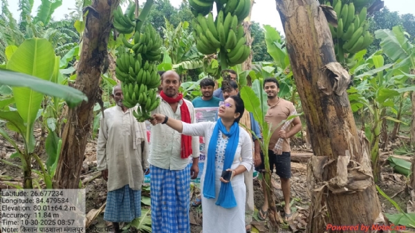 केले की खेती से किसान होंगे समृद्ध, किसान पाठशाला का हुआ आयोजन