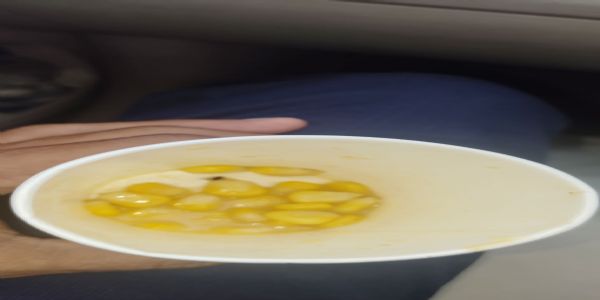 उज्जैनः स्वीट कार्न में निकली मख्खी..कर्मचारी इधर-उधर दौड़ात रहे कस्टमर को