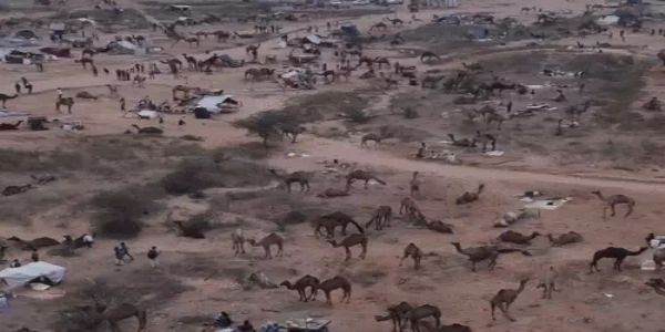 विश्व प्रसिद्ध पुष्कर मेला धूमधाम से शुरू: डिप्टी सीएम दीया कुमारी ने ध्वजारोहण कर की शुरुआत