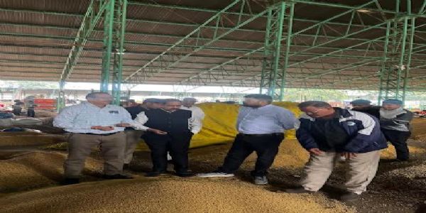 मंदसाैर : 542 किसानों ने भावांतर योजना में बेची सोयाबीन, कांग्रेस बोली-किसान हो रहे परेशान