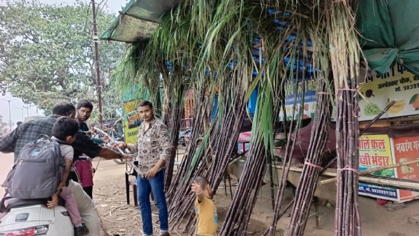 शहर के आंबेडकर चौक में गन्ना खरीदते हुए लोग। शहर के आंबेडकर चौक में गन्ना खरीदते हुए लोग।