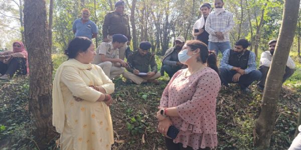 मंडी के लूणापानी में मरे हुए पशुओं को खुले में फेंकने का आरोप