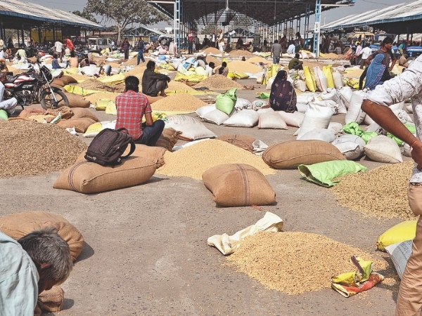 भावांतर से मंडी अधिनियम का हो रहा उल्लंघन भावांतर से मंडी अधिनियम का हो रहा उल्लंघन