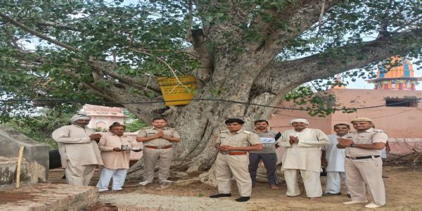 झज्जर जिले में 120 वयोवृद्ध वृक्षों को मिलेगी प्राण वायु देवता पेंशन