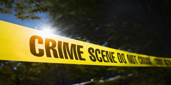 ठियोग में चोरों ने निर्वाचन कार्यालय को बनाया निशाना, दस्तावेज बिखेरे, मामला दर्ज