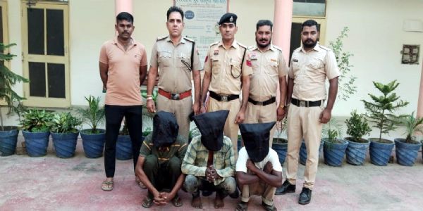 फतेहाबाद : खेतों से केबल चोरी के आराेप में तीन युवक काबू