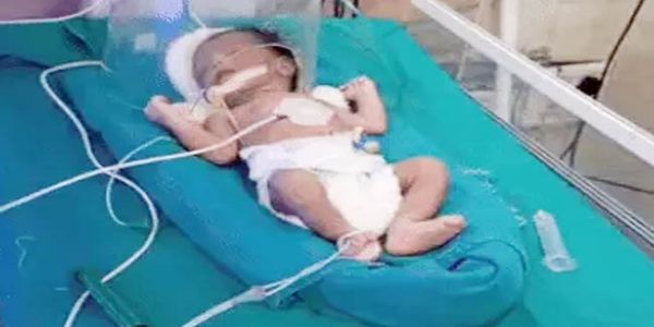 राई औद्योगिक क्षेत्र में झाड़ियों में मिली लावारिस नवजात