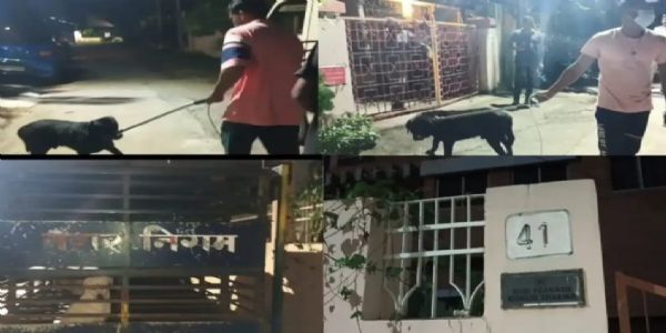 आदित्यपुर में सॉफ्टवेयर इंजीनियर का शव घर से बरामद,मृतक की पत्नी लापता