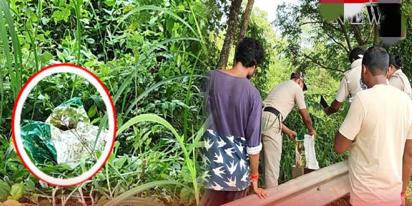 राष्ट्रीय राजमार्ग किनारे मिले बोरों में शव मिलने की अफवाह से मचा हड़कंप, जांच में निकली मृत मुर्गियां