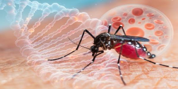 सॉल्ट लेक में डेंगू से 15 वर्षीय छात्रा की मौत, स्वास्थ्य विभाग ने जताई चिंता