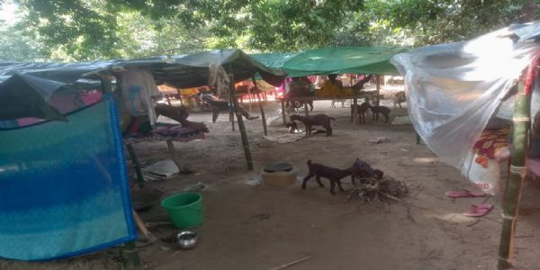 बिहार के प.म्पारण में   बाढ़ इस बार फिर बेघर हुए 40 परिवार, स्थायी पुनर्वास की उठी मांग