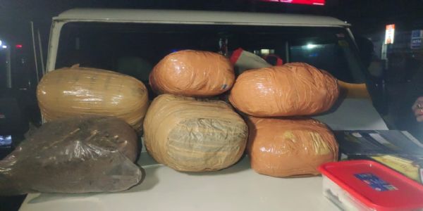 भारी मात्रा में गांजा के साथ एक गिरफ्तार