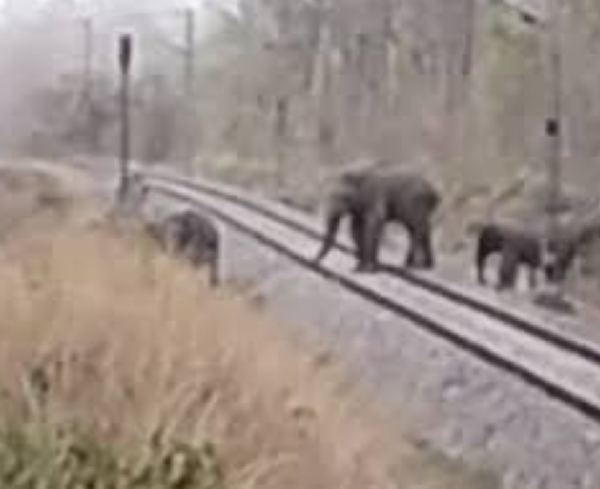 प्रतिकात्मक फोटो