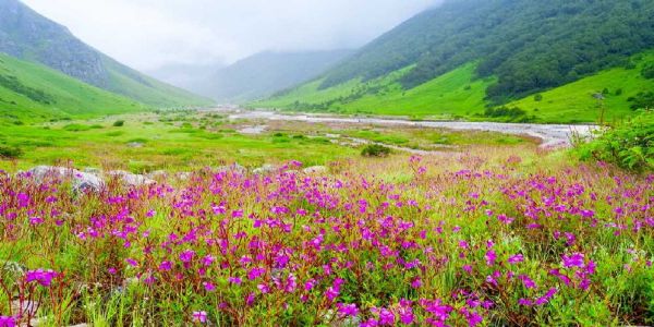 फूलों की घाटी का मनोरम दृश्य।