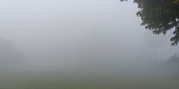 पछुआ हवा से गिरा मुरादाबाद का तापमान, रात में बढ़ गई ठंड