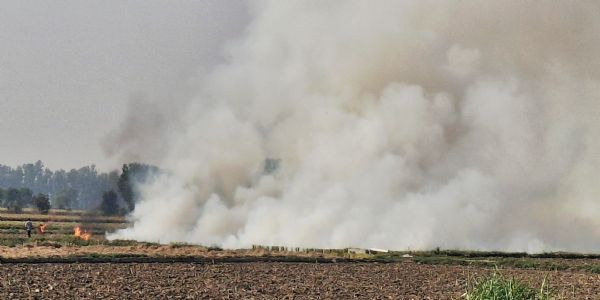 जींद में किसानों ने 25 जगह जलाई पराली, 1.30 लाख किया जुर्माना