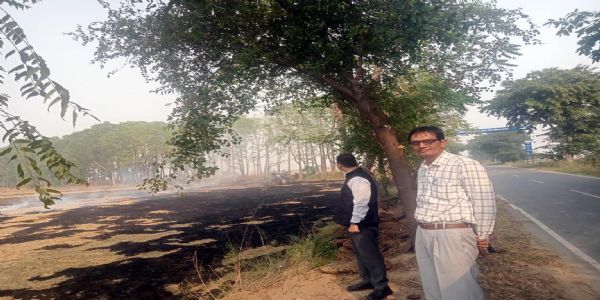 टोहाना में किसानों ने 34 जगह जलाई पराली, 10 किसानों पर एफआईआर