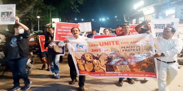 गुरुग्राम: बेसहारा कुत्तों के समर्थन में मानवीय समाधान के लिए प्रदर्शन