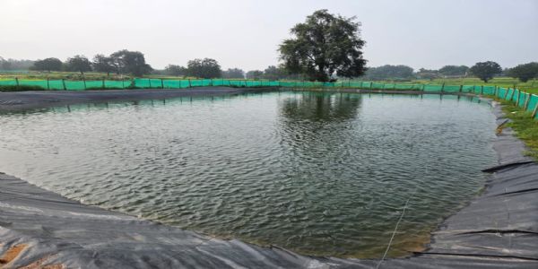 जशपुर ने रचा नया इतिहास, मत्स्य उत्पादन में 22 महीनों में दर्ज की 22,805 मीट्रिक टन की उपलब्धि