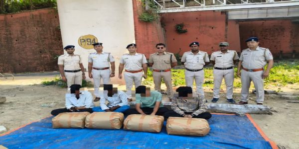 डिटेक्टिव डिपार्टमेंट की कार्रवाई में 233 किलो गांजा बरामद, 10 गिरफ्तार