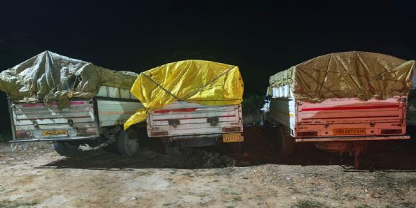 बलरामपुर : अवैध रूप से धान परिवहन करने वालों पर प्रशासन की सख्त कार्रवाई, तीन पिकअप के साथ 200 बोरी धान जब्त