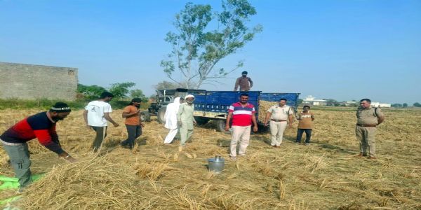 फतेहाबाद में किसानों ने जलाई पराली,एसपी ने चार पुलिस कर्मियों को किया निलंबित