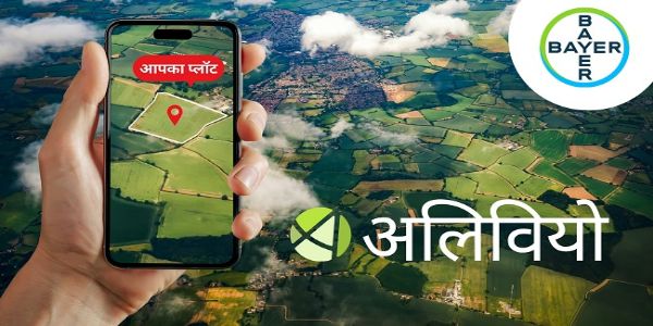 अलिवियो ऐप के जारी लोगो का प्रतीकात्‍मक चित्र