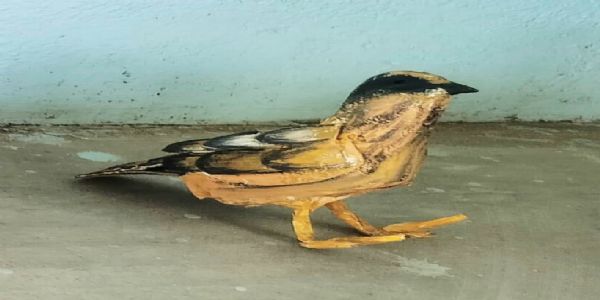 यंग स्टार्स ट्रस्ट की हस्तकला प्रतियोगिता में 12 विद्यालय के 750 विद्यार्थियों ने दिखाई प्रतिभा