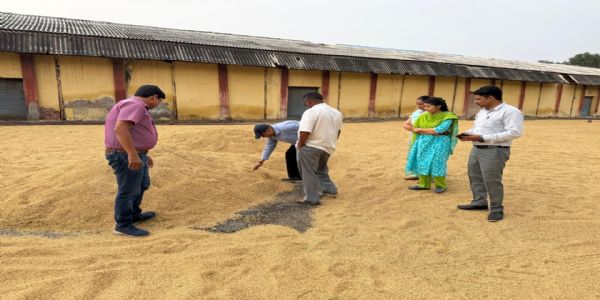 सीएम के 48 घंटे में भुगतान के निर्देश के बाद तेज हुई धान खरीद, बरेली मंडल के 17 हजार किसानों को मिला लाभ