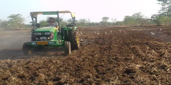 रबी सीजन में दलहन-तिलहन की फसल लगाएंगे किसान