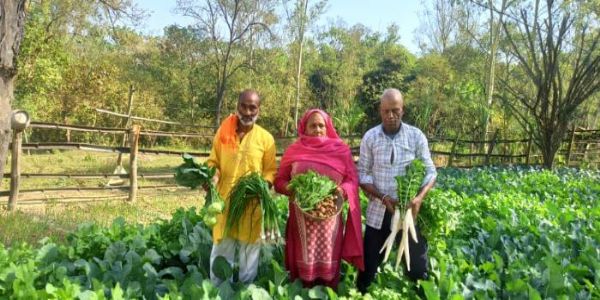 प्राकृतिक खेती बनी सहारा, जमनोटी के किसानों की आय में बड़ी बढ़ोतरी