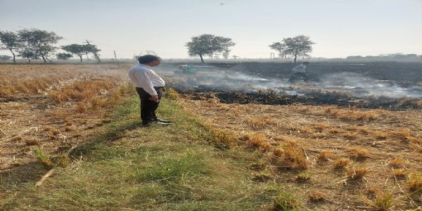 जींद में किसानाें ने जलाई पराली, दस पुलिस कर्मी निलंबित