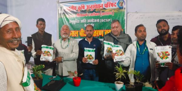 किसानों के बीच उन्नत किया गया बीजों का वितरण