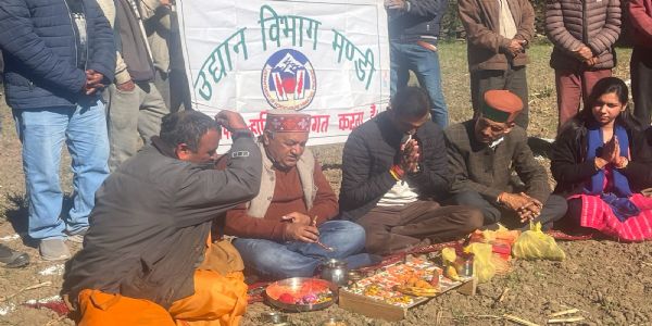 बांधी क्लस्टर में एचपी शिवा परियोजना के तहत रोपित किए जाएंगे जापानी फल के सात हजार पौधे,