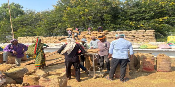 धमतरी : जिले में समर्थन मूल्य पर धान खरीद जारी, अब तक खरीदा गया 13,765 क्विंटल धान