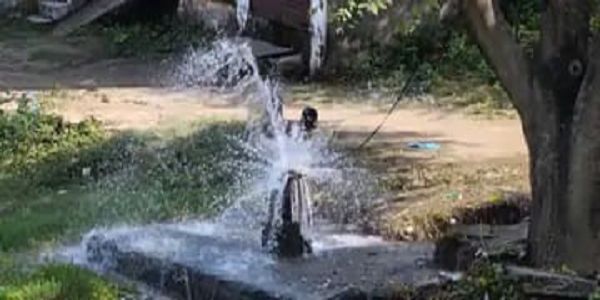 श्योपुरः भू-जल स्तर बढ़ने से ट्यूबवेल से अपने आप निकल रहा पानी
