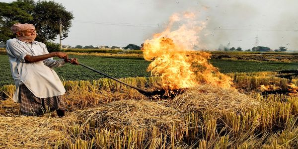 पराली जलाने पर अब होगी सख़्त कार्रवाई, एडीएम की अध्यक्षता में बना कंट्रोल सेल