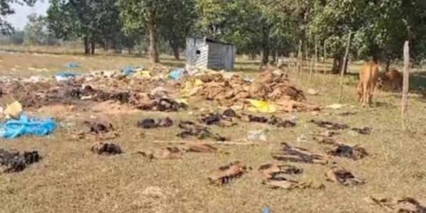 कांकेर : सहकारी प्रबंधक-ऑपरेटराें की हड़ताल से जिले के कई केंद्राें पर नहीं शुरु हुई धान खरीदी