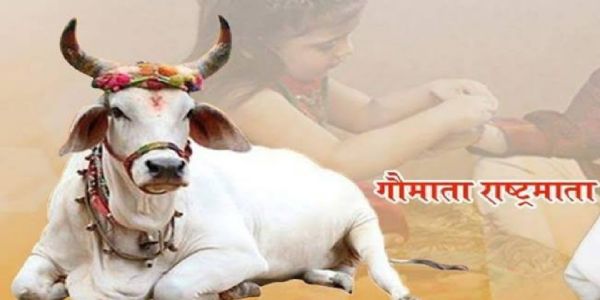 गोमाता को राष्ट्रमाता का दर्जा दिलाने सहित गो हत्या की रोक लगाने से जुड़ी मांगों को लेकर मंगलवार को होगी धर्मसभा