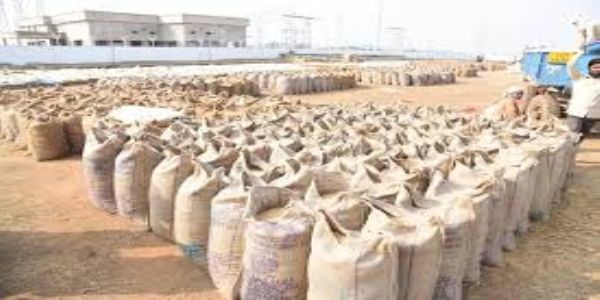 छत्तीसगढ़ में 14,54,451 क्विंटल धान की हो चुकी है खरीद