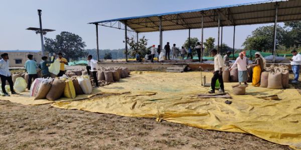 कोरिया: जिले के उपार्जन केन्द्रों में आज 100 टोकनों से 5516 क्विंटल धान की खरीद