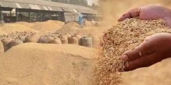 उत्तर प्रदेश में 70 हजार से अधिक किसानों से की गई 4.12 लाख मीट्रिक टन धान की खरीद