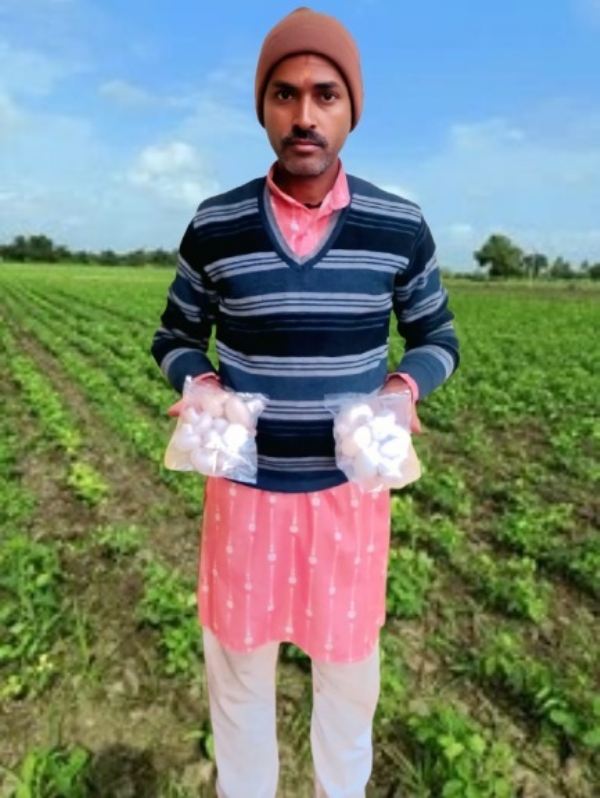 मसरूम उत्पादन के साथ प्रगतिशील किसान मसरूम उत्पादन के साथ प्रगतिशील किसान